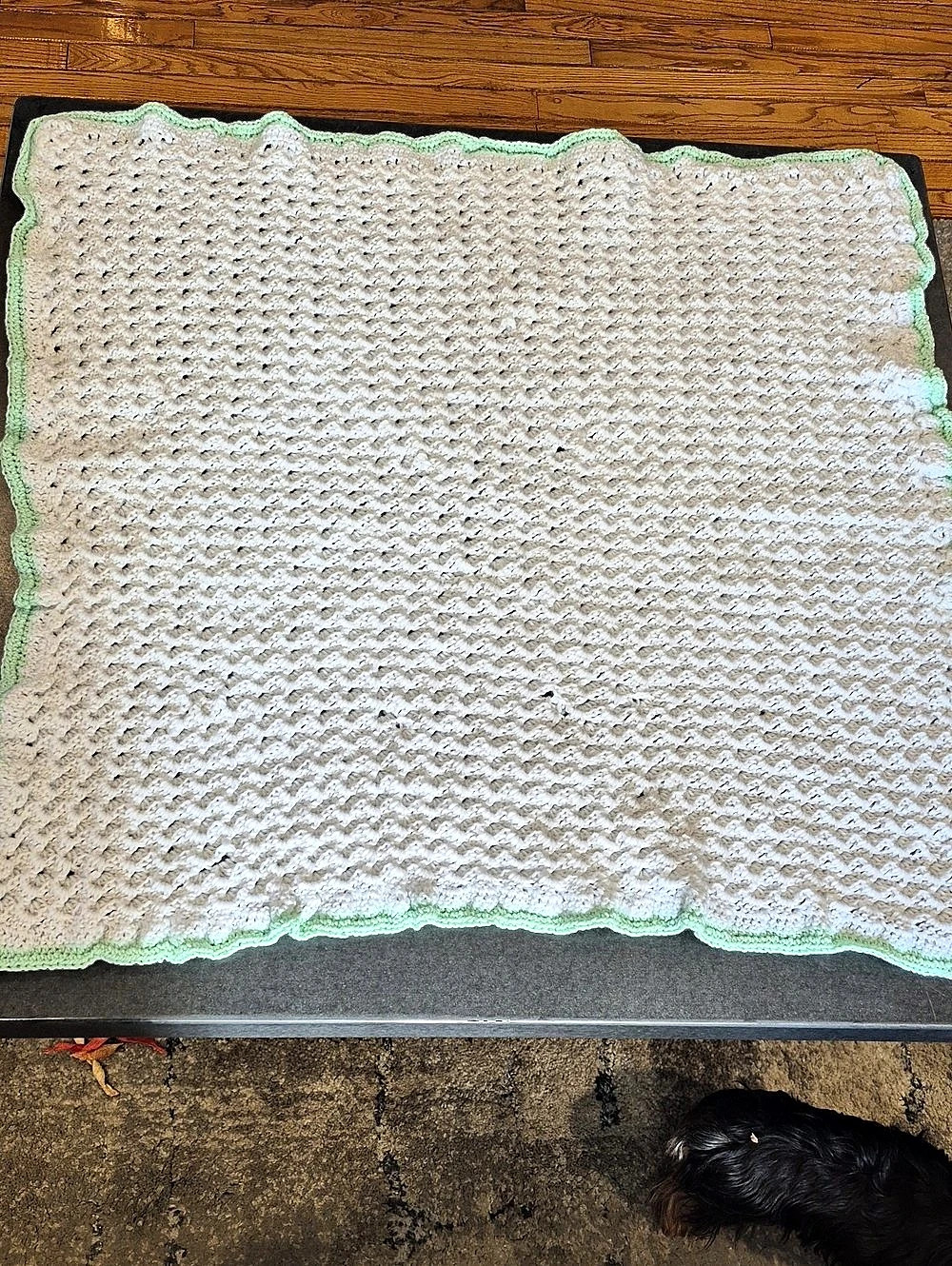 Hand-Crocheted Throw in White & Green